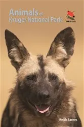 Book cover of Animals of Kruger National Park by Keith Barnes