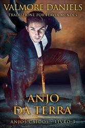 Book cover of Anjo da Terra by Valmore Daniels