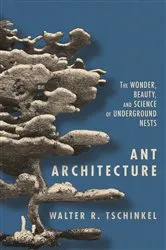 Book cover of Ant Architecture by Walter R. Tschinkel