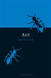 Book cover of Ant by Charlotte Sleigh