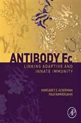 Book cover of Antibody Fc by Margaret Ackerman