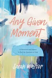 Book cover of Any Given Moment by Sarah Molitor