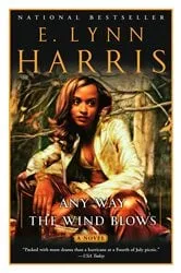 Book cover of Any Way the Wind Blows by Seanan McGuire
