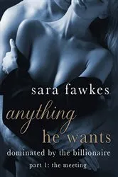Book cover of Anything He Wants: The Meeting (#1) by Sara Fawkes