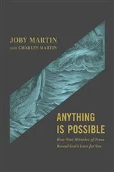 Book cover of Anything Is Possible by Elizabeth Strout