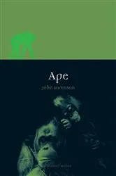 Book cover of Ape by John Sorenson