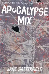 Book cover of Apocalypse Mix by Jane Satterfield