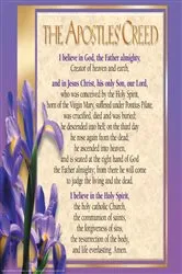 Book cover of Apostles Creed, Laminated Wall Chart by Rose Publishing