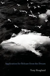 Book cover of Application for Release from the Dream by Unknown