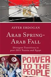 Book cover of Arab Spring-Arab Fall by Ayfer Erdogan