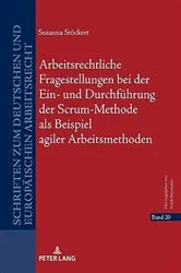 Book cover of Arbeitsrechtliche Fragestellungen bei der Ein- und Durchfuehrung der Scrum-Methode als Beispiel agiler Arbeitsmethoden by Frank Bayreuther