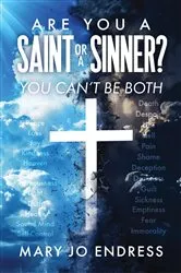 Book cover of Are You a Saint or a Sinner? by Mary Jo Endress