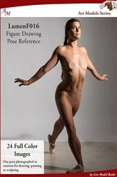 Book cover of Art Models LumenF016 by Douglas A Johnson