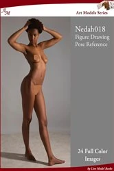 Book cover of Art Models Nedah018 by Douglas Johnson