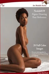 Book cover of Art Models Nedah039 by Douglas Johnson