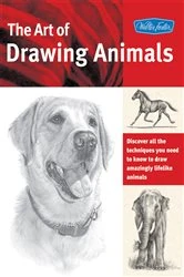 Book cover of Art of Drawing Animals by Patricia Getha