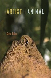 Book cover of Artist Animal by Steve Baker