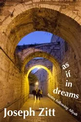Book cover of as if in dreams by Joseph Zitt