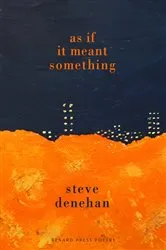 Book cover of As if it Meant Something by Steve Denehan