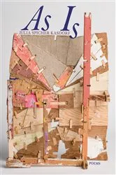 Book cover of As Is by Julia Spicher Kasdorf