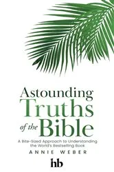 Book cover of Astounding Truths of the Bible by Annie Weber