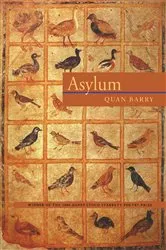 Book cover of Asylum by Patrick McGrath