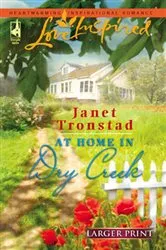Book cover of At Home in Dry Creek by Janet Tronstad