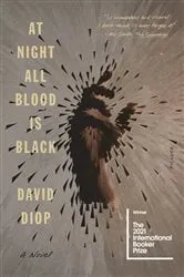 Book cover of At Night All Blood Is Black by David Diop