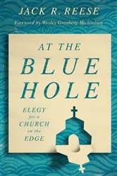 Book cover of At the Blue Hole by Jack R. Reese