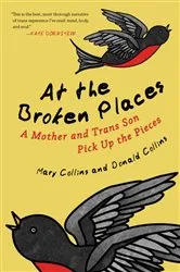Book cover of At the Broken Places by Unknown