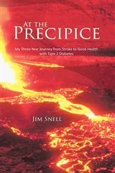 Book cover of At the Precipice by Shearer Davis Bowman