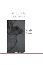 Book cover of At the Source by Lynn Marsden-Atlass