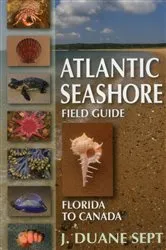 Book cover of Atlantic Seashore Field Guide by J. Duane Sept