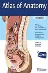 Book cover of Atlas of Anatomy (5th ed.) by Anne M Gilroy