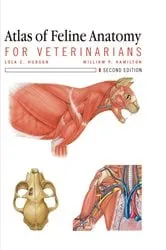 Book cover of Atlas of Feline Anatomy For Veterinarians (2nd ed.) by Lola Hudson