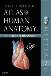 Book cover of Atlas of Human Anatomy: Latin Terminology E-Book (7th ed.) by Frank H. Netter MD