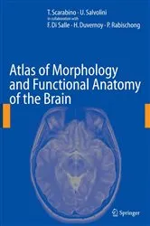 Book cover of Atlas of Morphology and Functional Anatomy of the Brain by T. Scarabino