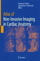Book cover of Atlas of Non-Invasive Imaging in Cardiac Anatomy by Francesco F. Faletra