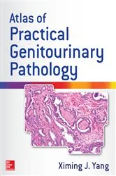 Book cover of Atlas of Practical Genitourinary Pathology by Ximing James Yang