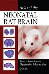 Book cover of Atlas of the Neonatal Rat Brain by Renuka Ramachandra