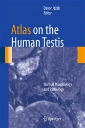 Book cover of Atlas on the Human Testis by Davor Ježek