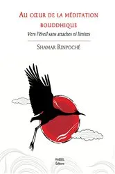 Book cover of Au cœur de la meditation bouddhique by Shamar Rinpoche