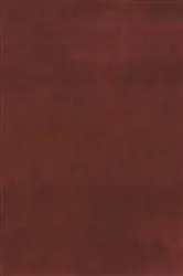 Book cover of Au, U, Fe, Mn, Hg, Sb, W, and P Deposits by Bozzano G Luisa