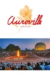 Book cover of Auroville by Franz Fassbender