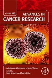 Book cover of Autophagy and Senescence in Cancer Therapy by Unknown