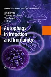 Book cover of Autophagy in Infection and Immunity by Beth Levine
