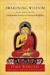 Book cover of Awakening Wisdom by Pema Wangyal