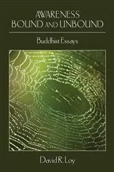 Book cover of Awareness Bound and Unbound by David R. Loy