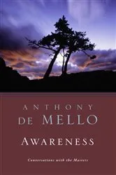 Book cover of Awareness by Evie Bentley
