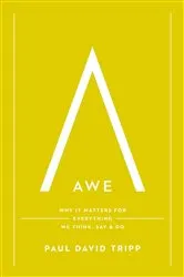 Book cover of Awe by Dacher Keltner